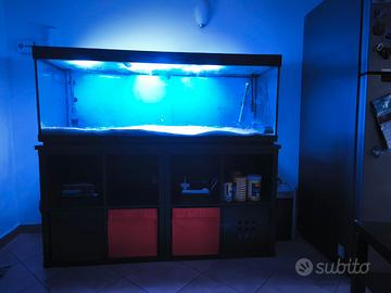 Acquario 