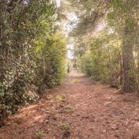 Villa singola con piscina