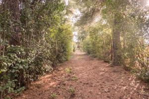 Villa singola con piscina