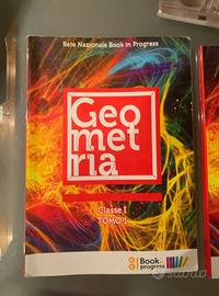 2 libri preparazione esami + 2 compendi geometria