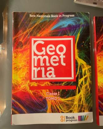 2 libri preparazione esami + 2 compendi geometria