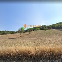 Terreno Agricolo, Strada Provinciale 165 - Gildone