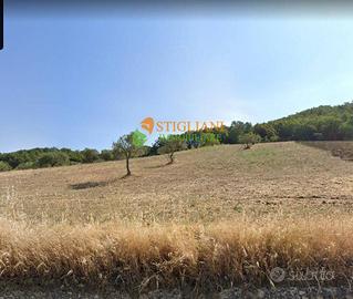 Terreno Agricolo, Strada Provinciale 165 - Gildone