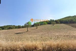 Terreno Agricolo, Strada Provinciale 165 - Gildone