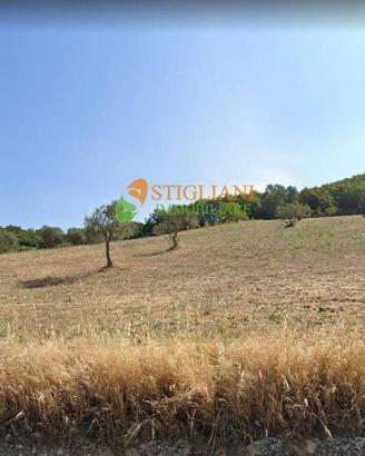 Terreno Agricolo, Strada Provinciale 165 - Gildone