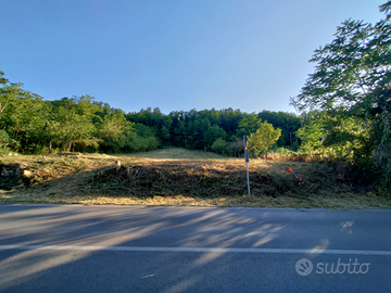 Terreno Urbano zona espansione