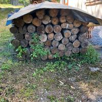 PALI DI LEGNO DI CASTAGNO PER RECINZIONE