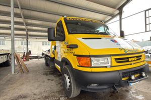 Carroattrezzi Daily 65c13