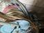 Immagine 3