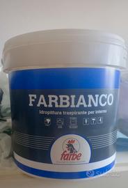 pittura traspirante antimuffa 5 LT nuova 