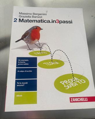 Matematica.in3passi 2,  Zanichelli