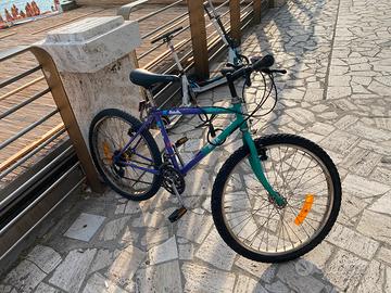 mountain bike 24
