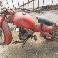 Motom 48