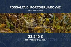 Immobile in asta di 16800 m² a Fossalta di Portogr