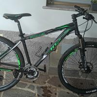 Bottecchia 107