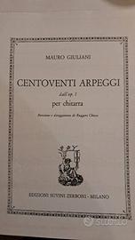 Libri musica chitarra