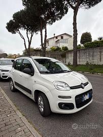 Panda Longue 2012