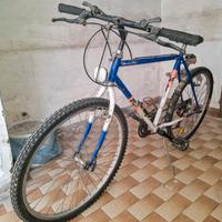 MOUNTAIN BIKE DA 26