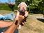 Immagine 2