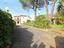 Immagine 7