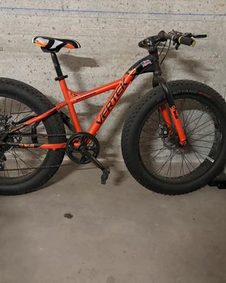 Bicicletta vertek