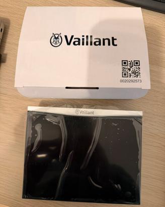 Display Scaldabagno Vaillant OutsideMag Low Nox