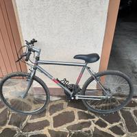 Bici mtb