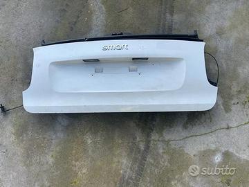 Bauletto cofano posteriore Smart for two 453