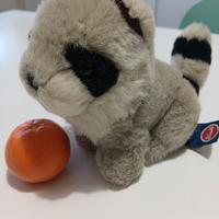 Trudini, Procione di Peluche 