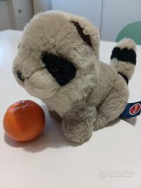 Trudini, Procione di Peluche 