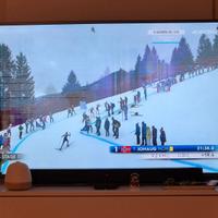 smart tv philips 58 pollici