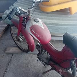 Motorino malagutti