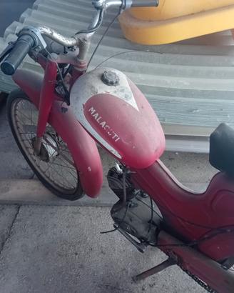 Motorino malagutti