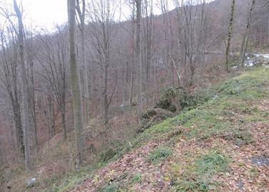 Immobile in asta di 97986 m² a Costa Valle Imagna