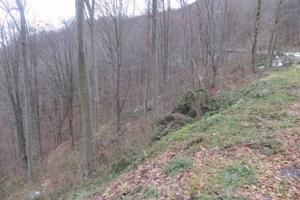 Immobile in asta di 97986 m² a Costa Valle Imagna