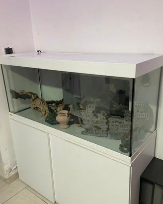 Acquario