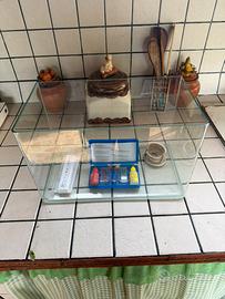 Teca acquario