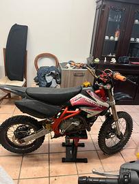 pit bike 160 DAYTONA