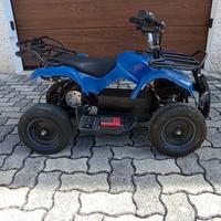 Quad con motore elettrico
