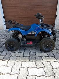 Quad con motore elettrico