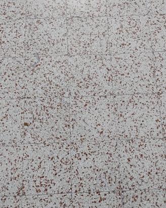 100 mattonella cementina