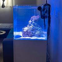 acquario AMTRA 45X45X45 Nuovo