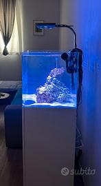 acquario AMTRA 45X45X45 Nuovo