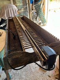 Fornacella arosticini