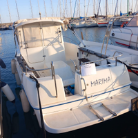 Arvor 200