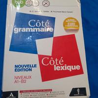 Cotè grammaire+ cotè lexique Nouvelle edition 