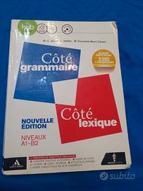 Cotè grammaire+ cotè lexique Nouvelle edition 