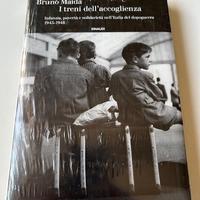 Libro Maida I treni dell’accoglienza Nuovo