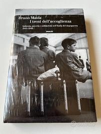 Libro Maida I treni dell’accoglienza Nuovo