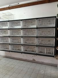 batteria gabbia sistema carta 